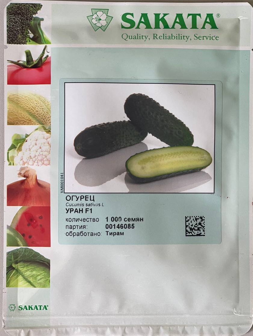 Огурец Уран